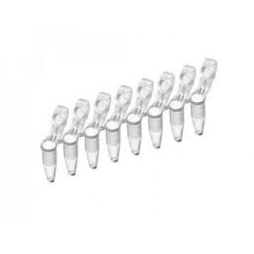 Tuburi PCR Eppendorf 